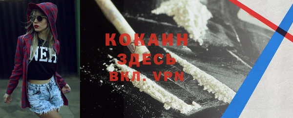 винт Дмитриев