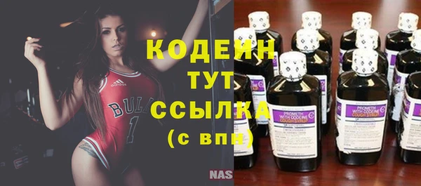 стаф Дмитров