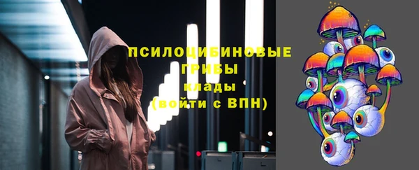 стаф Дмитров
