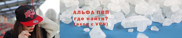 стаф Дмитров