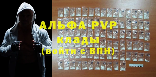 стаф Дмитров