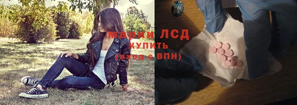 стаф Дмитров