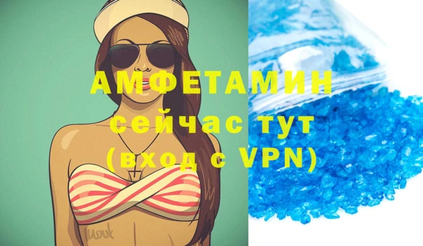 стаф Дмитров