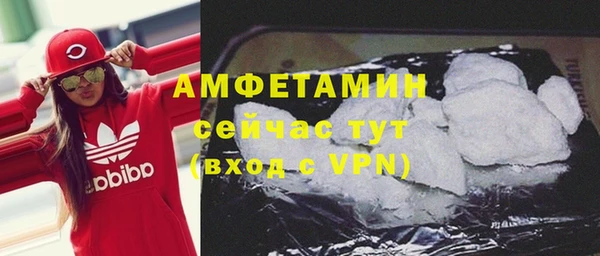 стаф Дмитров