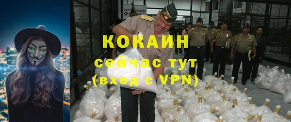 стаф Дмитров