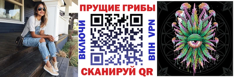 Галлюциногенные грибы Magic Shrooms  купить   Пикалёво 